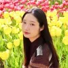 Jimin Song