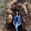 Aarushi Sharma