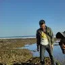 Kamarudin Amang