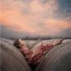 Eman Yasin