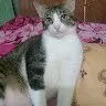 Imas Masliyah
