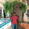 ANIKET TIWARI
