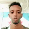 Nour Abdi