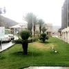 suhad Alghamdi