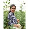 Shreya