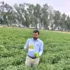 Punit Giri