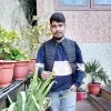 Vimal Singh