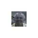 Barry Brooks