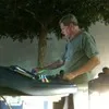 Don Williams