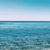 Aulii Maeda