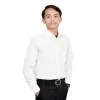 Ali Hanafi Ahmad