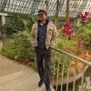 Pavan sutar