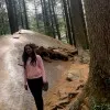 Bhavya