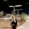 Anjum Ara