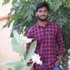 Shreeshail Pujari