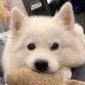 Athalia Murphy