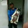 Widyono Aji