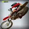 Matthew Pursley