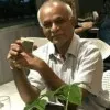 BINOD KUMAR SRIVASTAVA