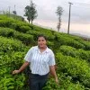 Abitha Raju