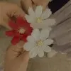 Zebun Nahar Lisha