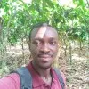 DANIEL MARFO