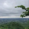 Zujaj Shafaq