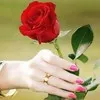 Saqib prince