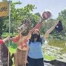 Sylvia Liew Jie Hui