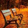 Gokul BE