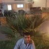 l`hocine hacene