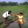 ahmad Farid