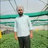 Amandeep singh