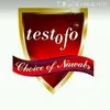 testofo trading company