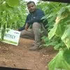 Vinay Jaiswal