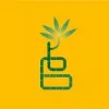Bamboo Media