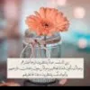 Nour Har