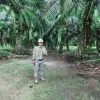 Wahyu Santoso SP