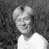 Anson Chau