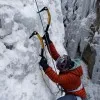 Lauren Barnhart