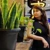 Shilpi Singh