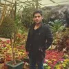 Hamed Karimi