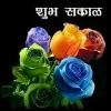 Amol Kadam