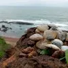 Sudip Bhowmick