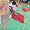 Rakesh Kumar
