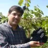 Shiv Kapur