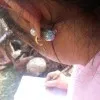 Sobia Chaudhary