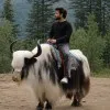 Bhanu Arora