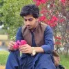 Sameer Gul