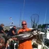 Bob Burton